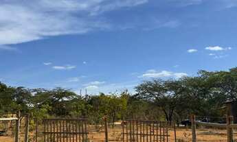 Imagem 5: Chácara 1000mt Chácara com venda por R$20.000