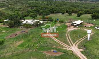 Imagem 7: Fazenda 38 alqueires (183,92 hectares) Morrinhos - Go