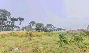 Imagem 4: Terreno Residencial para Venda em São José dos Pinhais
