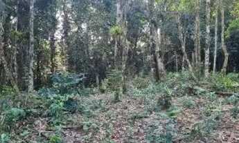 Imagem 3: Terreno 40mil metros Juquitiba