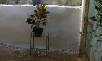 Imagem 2: Vendo casa em São Gonçalo