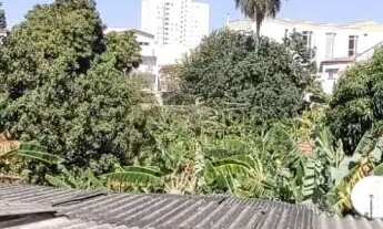 Imagem 4: TERRENO - VILA ALPINA - SP