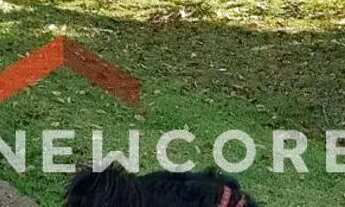 Imagem 7: Lote em condomínio em Rua Tasso Magalhães - Jardim Sorirama (Sousas) - Campinas/SP