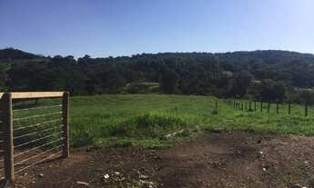 Imagem 3: Chácara 25km de Goianésia-Goiás