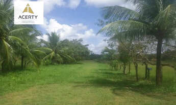 Imagem 3: Área Agrícola/Rural de 24ha09a83ca com Casa Sede e Caseiro - Piscina - Churrasqueira