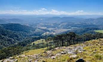 Imagem 4: Vende área rural com nascente e visão panorâmica