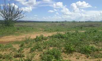 Imagem 7: Fazenda com 570 hectares entre serra caiada e ganhará