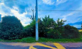 Imagem 3: SãO LEOPOLDO - Terreno Padrão - Independência