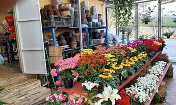 Imagem 5: Ponto comercial floricultura com cafeteria em Itatiba - SP
