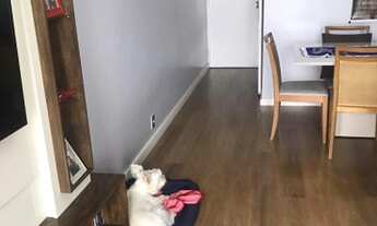 Imagem 3: Apartamento para venda possui 65 metros quadrados com 3 quartos em Vila Ivone - São Paulo