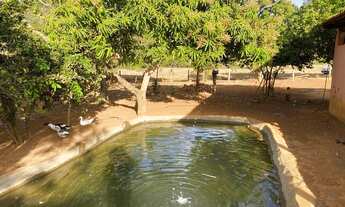 Imagem 5: 4 alqueires Chácara com venda por R$1.500.000