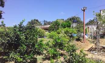 Imagem 6: Suzano - Padrão - Chácaras Ceres