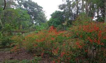 Imagem 5: Rural - Venda - Estância Porto Velho - Cod. 7803