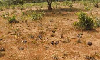 Imagem 4: Fazenda de 67 hectares no Município de Buritis Mg