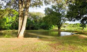 Imagem 3: Chácara de 9 hectares. 19 km de Campo Grande. Rica em água