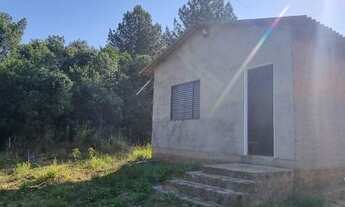 Imagem 2: Lindo sítio com casa, todo arborizado próximo do asfalto em Águas Claras