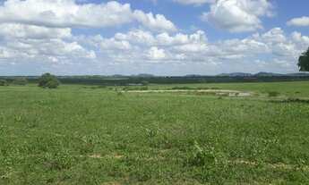 Imagem 2: Fazenda com 570 hectares entre serra caiada e ganhará