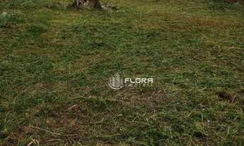 Imagem 2: Terreno à venda, 360 m² por R$ 120.000,00 - São José do Imbassaí - Maricá/RJ