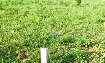 Imagem 7: Terreno à venda, 250 m² por R$ 70.000,00 - Cohab-Ll - Gravatá/PE