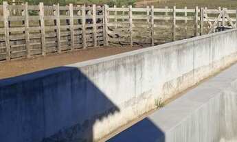 Imagem 3: Granja com 17 hectares na região de mente Alegre