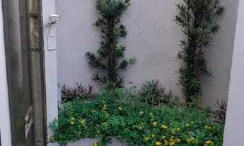 Imagem 4: Vendo Casa em Catanduva