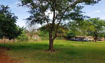 Imagem 3: LONDRINA - Terreno Padrão - Conjunto Cafezal 1