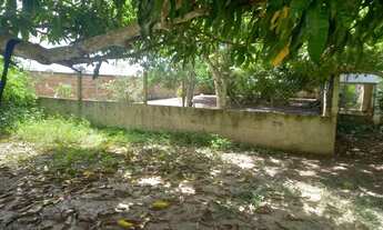 Imagem: Vende-se Sítio - Inhambupe - Bahia