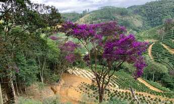 Imagem 4: Área de 20mil metros em Pedra Azul