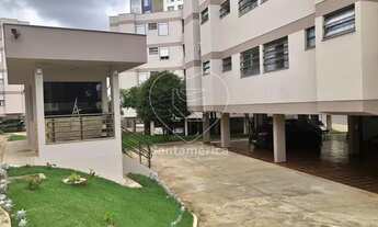 Imagem 2: LONDRINA - Padrão - Vila Fujita