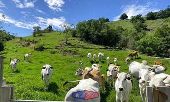 Imagem 6: Sítio à venda no bairro Ribeirão do Imarui - Imaruí/SC