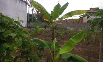 Imagem 3: Melhor terreno murado no Matapoã/Mosqueiro