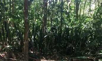 Imagem 2: Terreno em Aberta dos Morros