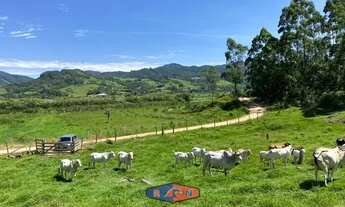 Imagem 3: Sítio à venda no bairro Ribeirão do Imarui - Imaruí/SC