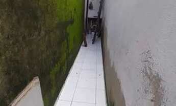 Imagem 4: Locação Casa com 2 dormitórios