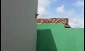 Imagem 2: Kitinete quarto Quarto com aluguel por R$600 /mês