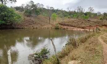 Imagem 5: Fazenda 32.5 alqueires, excelente para pecuária!