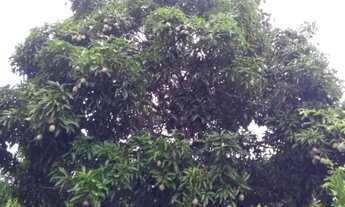 Imagem 6: Sítio em Alagoa Nova-PB