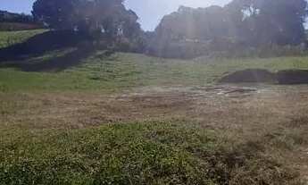 Imagem 5: LINDO SITIO 5 ALQUERES E MEIO, 133 MIL M², A 4 KM DA RODOVIA DO XISTO, MARIENTAL CONTENDA