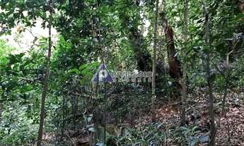 Imagem 7: Terreno no Cosme Velho