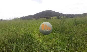 Imagem 2: Fazenda com 2 dormitórios à venda, 677600 m² por R$ 3.000.000,00 - Zona Rural - Varjão/GO