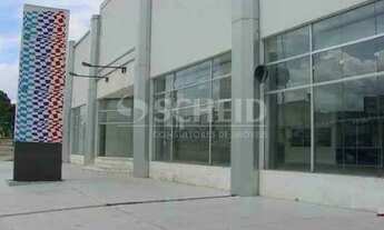 Imagem 5: EXCELENTE GALPÃO COM BOA LOCALIZAÇÃO