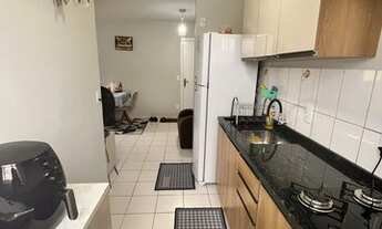 Imagem 4: JARAGUá DO SUL - Padrão - Rau