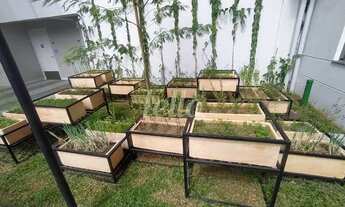 Imagem 3: São Paulo - Apartamento Padrão - Santo Amaro