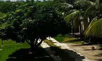 Imagem 4: Casa com uma área/2 enorme. ?