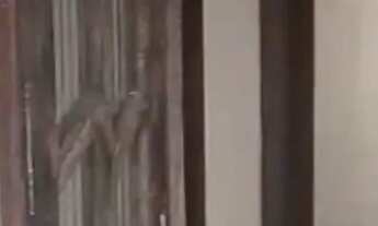 Imagem 5: Vende-se Casa ou Casa e Terreno