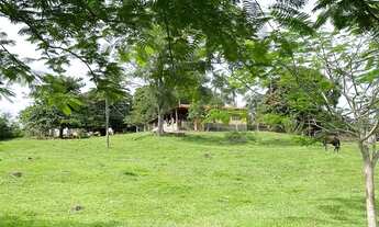 Imagem 4: Sítio em cascalho rico