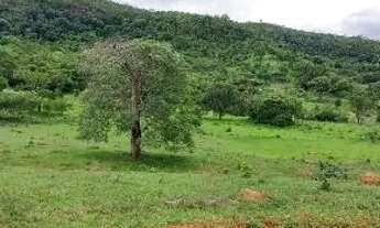 Imagem: Fazenda com rio e cachoeira