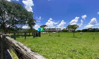 Imagem 3: FAZENDA À VENDA - 1.300 HECTARES - BURITIS (MG
