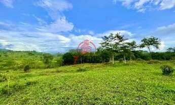 Imagem 5: FAZENDA NA CIDADE DE PROFESSOR JAMIL GOIÁS
