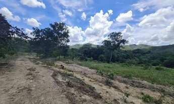 Imagem 4: Fazenda de cria e recria, 105 alqueires , Vila Propício, GO